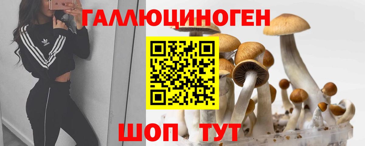Псилоцибиновые грибы GOLDEN TEACHER  Вход с VPN  Сосновоборск 